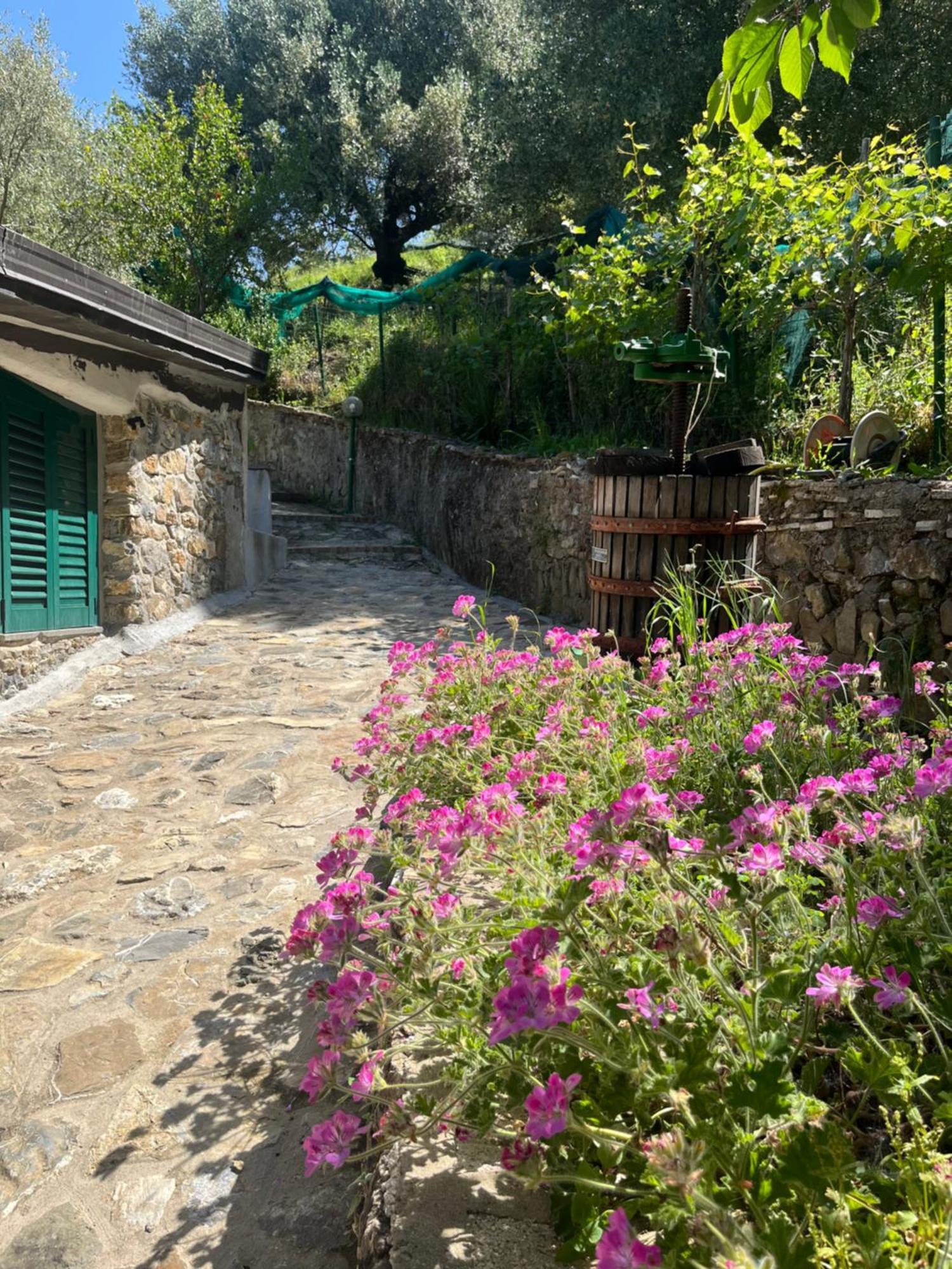 Casa Vacanze Alfano Ascea Exteriér fotografie