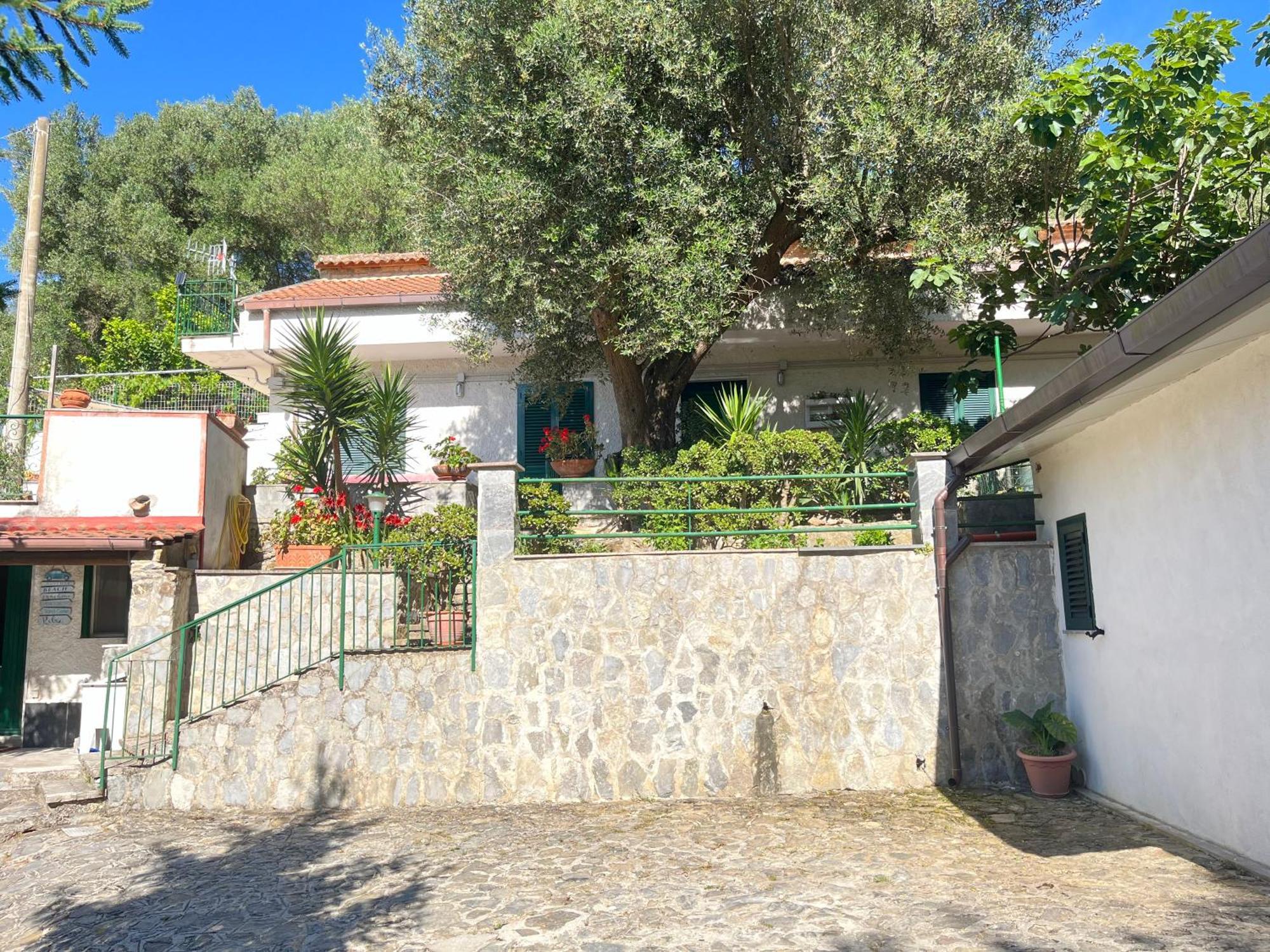 Casa Vacanze Alfano Ascea Exteriér fotografie