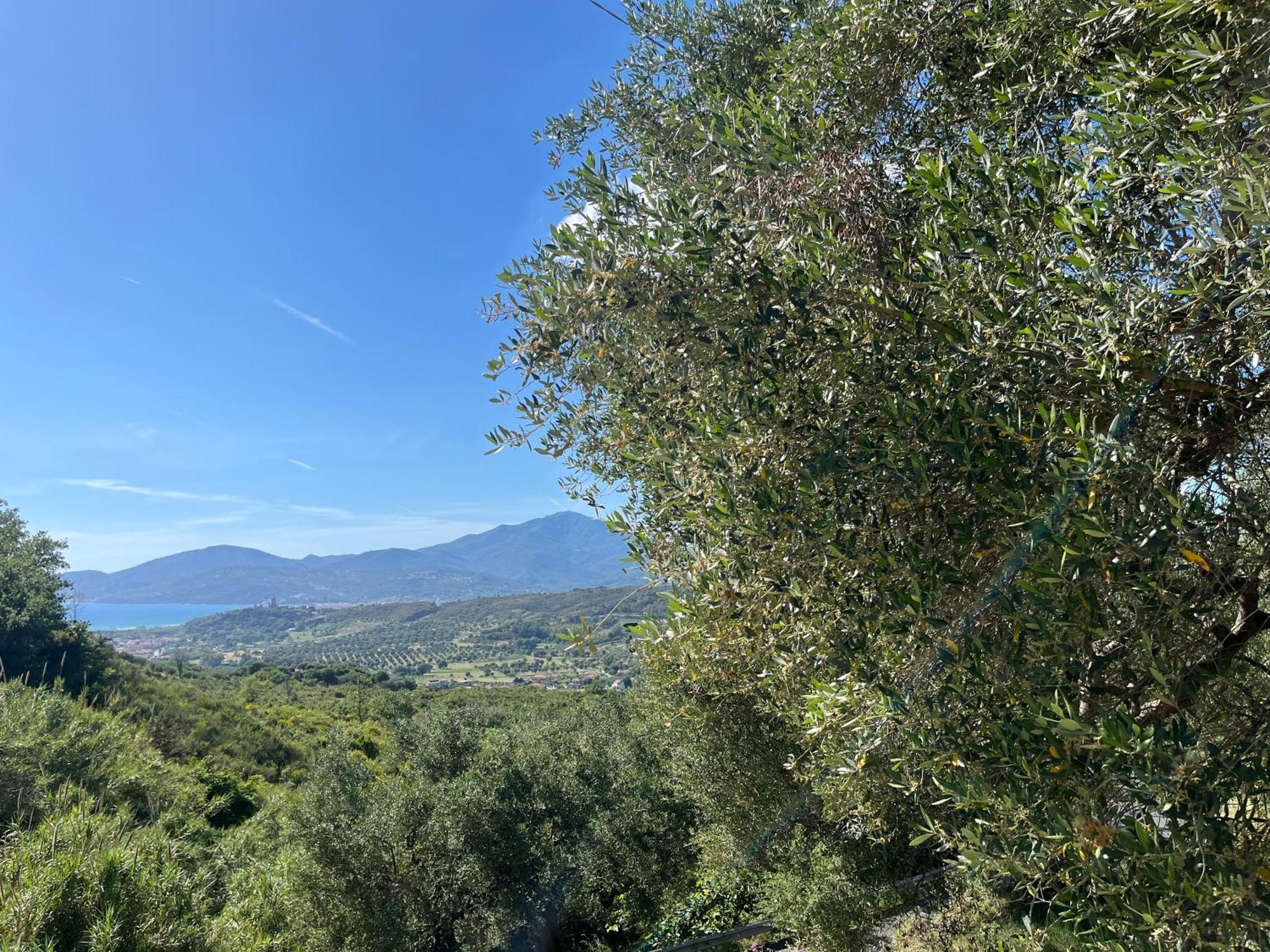 Casa Vacanze Alfano Ascea Exteriér fotografie